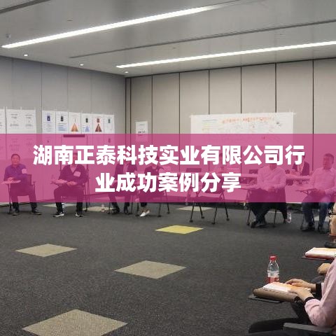 湖南正泰科技实业成功案例展示，行业翘楚之选