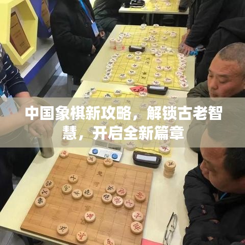 中国象棋新攻略，解锁古老智慧，开启全新篇章