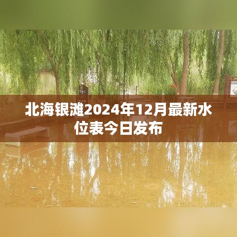 北海银滩2024年12月最新水位表今日发布