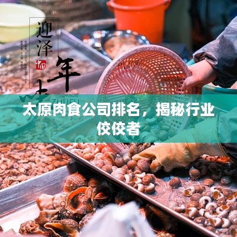 太原肉食公司排名，揭秘行业佼佼者