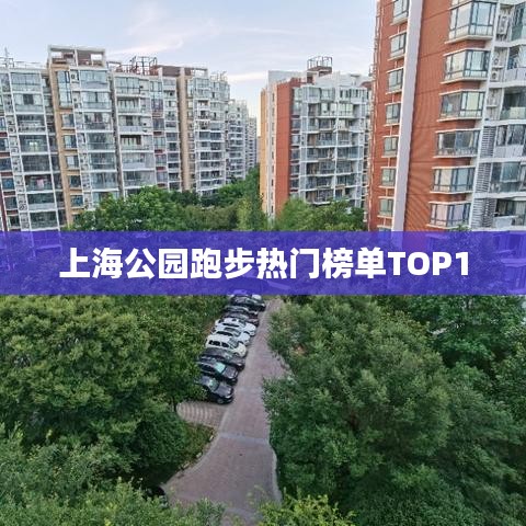 上海公园跑步热门榜单TOP10