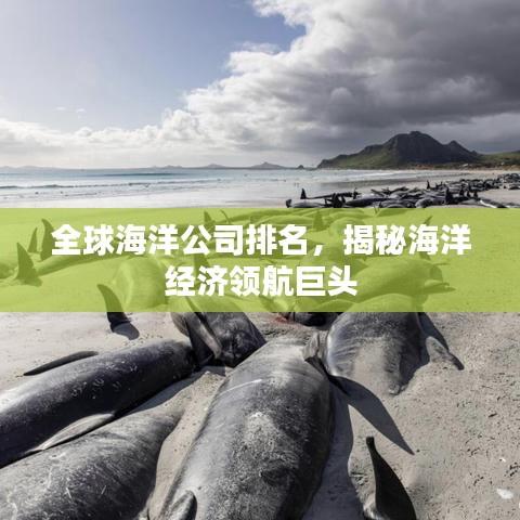 全球海洋公司排名，揭秘海洋经济领航巨头