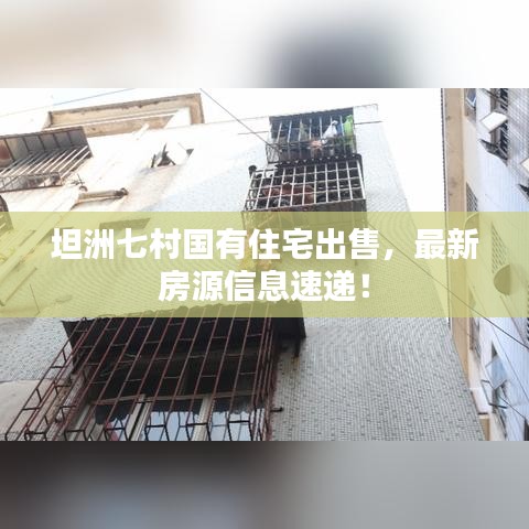 坦洲七村国有住宅出售，最新房源信息速递！