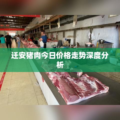 迁安猪肉今日价格走势深度分析