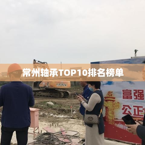 常州轴承TOP10排名榜单