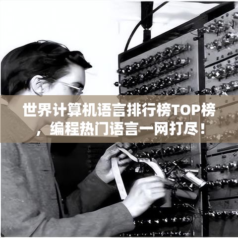 世界计算机语言排行榜TOP榜，编程热门语言一网打尽！