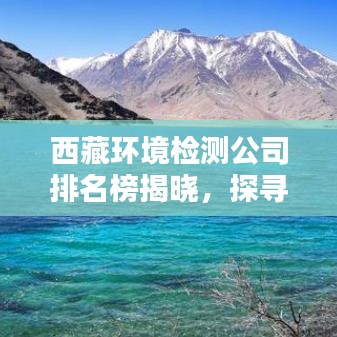 西藏环境检测公司排名榜揭晓，探寻环保先锋力量