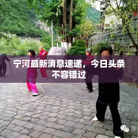 宁河最新消息速递，今日头条不容错过