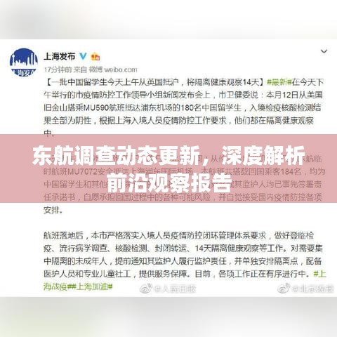 东航调查动态更新，深度解析前沿观察报告