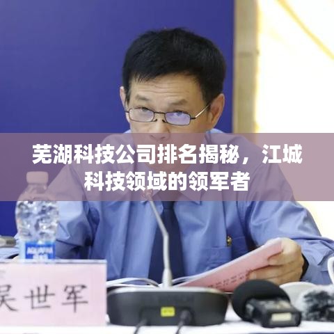 芜湖科技公司排名揭秘，江城科技领域的领军者