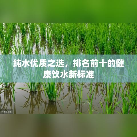 纯水优质之选，排名前十的健康饮水新标准