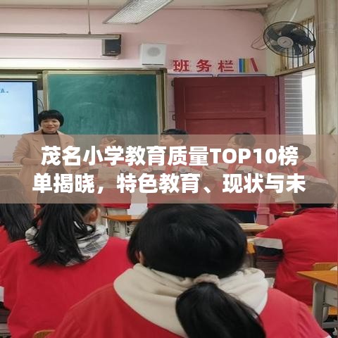 茂名小学教育质量TOP10榜单揭晓，特色教育、现状与未来发展展望