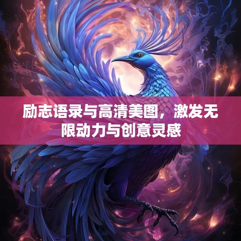 励志语录与高清美图，激发无限动力与创意灵感