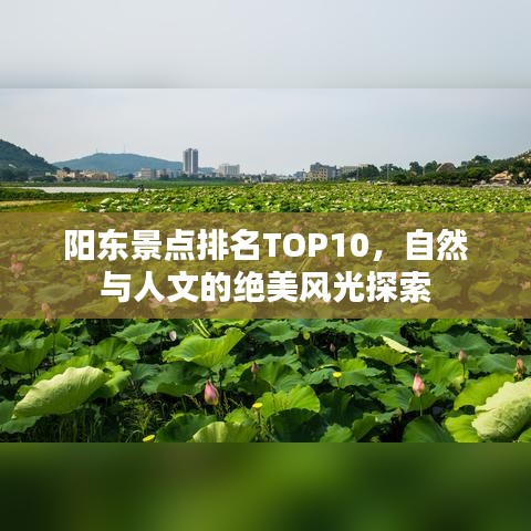 阳东景点排名TOP10，自然与人文的绝美风光探索