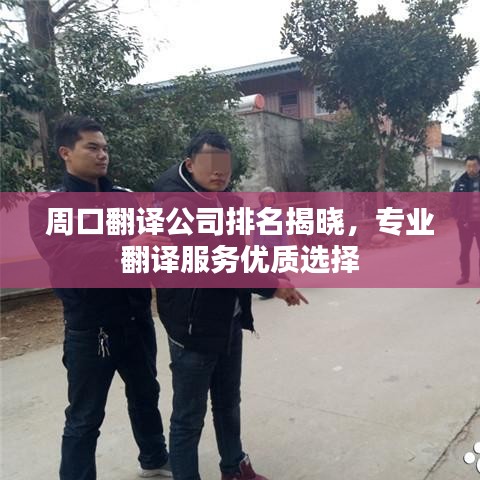 周口翻译公司排名揭晓，专业翻译服务优质选择