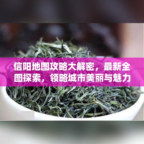 信阳地图攻略大解密，最新全图探索，领略城市美丽与魅力