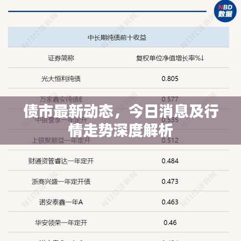 债市最新动态，今日消息及行情走势深度解析