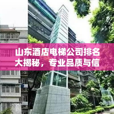 山东酒店电梯公司排名大揭秘，专业品质与信誉的全方位较量