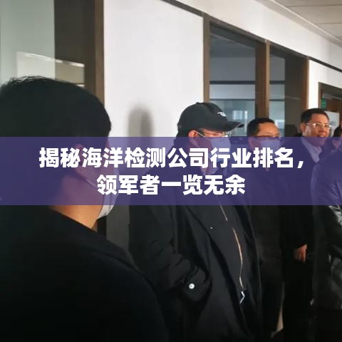 揭秘海洋检测公司行业排名，领军者一览无余