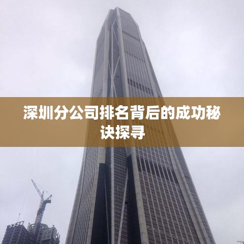 深圳分公司排名背后的成功秘诀探寻