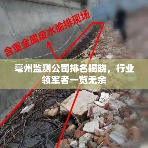 亳州监测公司排名揭晓，行业领军者一览无余