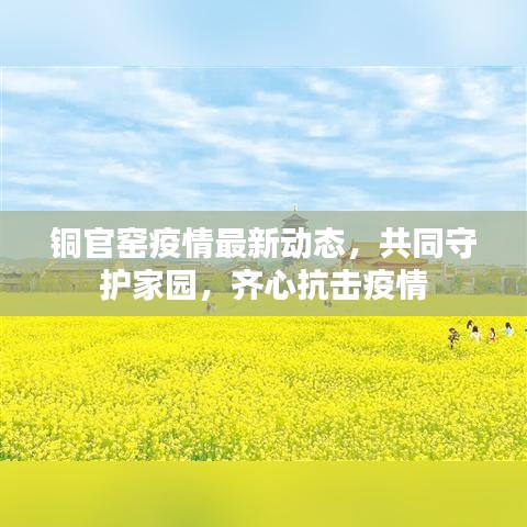 铜官窑疫情最新动态，共同守护家园，齐心抗击疫情