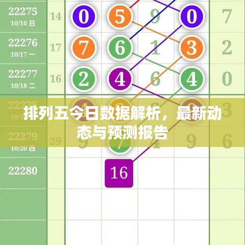 排列五今日数据解析，最新动态与预测报告