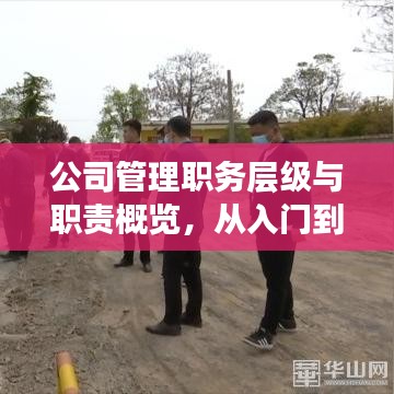 公司管理职务层级与职责概览，从入门到高层管理者职责解析