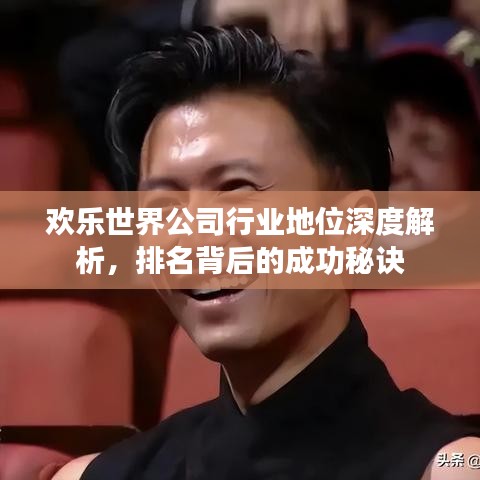 欢乐世界公司行业地位深度解析，排名背后的成功秘诀