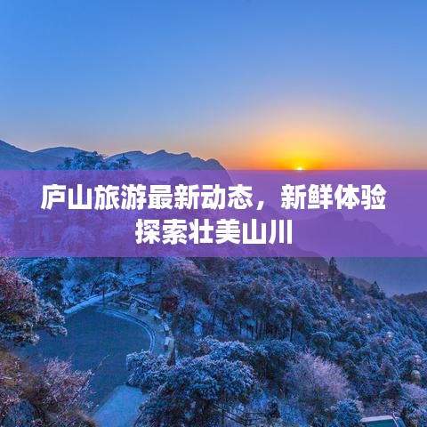 庐山旅游最新动态，新鲜体验探索壮美山川