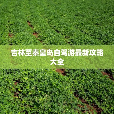 吉林至秦皇岛自驾游最新攻略大全