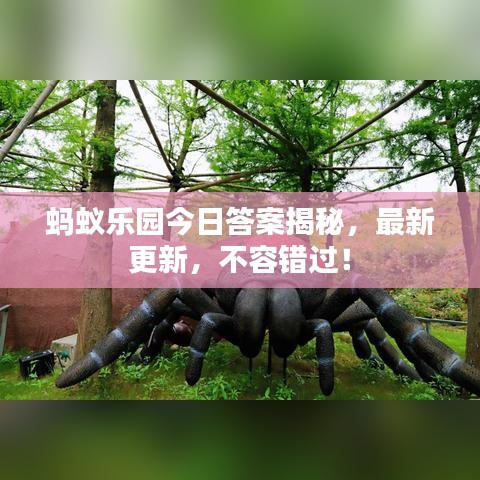 蚂蚁乐园今日答案揭秘，最新更新，不容错过！