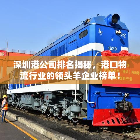 深圳港公司排名揭秘，港口物流行业的领头羊企业榜单！