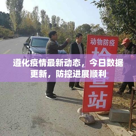 遵化疫情最新动态，今日数据更新，防控进展顺利