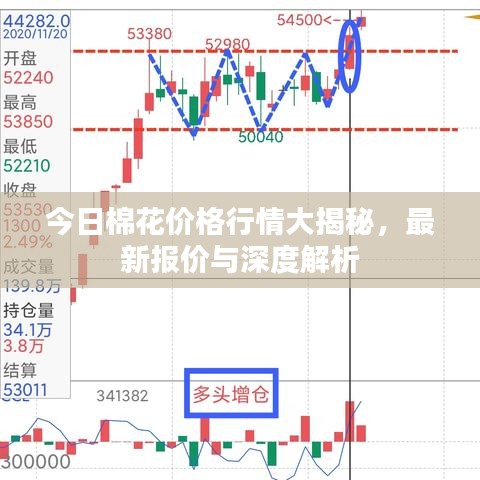 今日棉花价格行情大揭秘，最新报价与深度解析