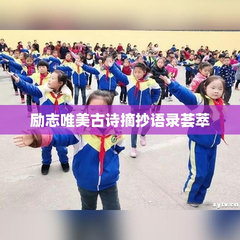 励志唯美古诗摘抄语录荟萃