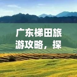 广东梯田旅游攻略，探索绝美田园风光之旅