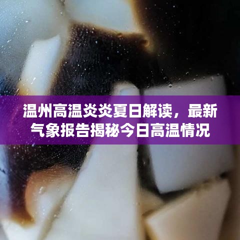 温州高温炎炎夏日解读，最新气象报告揭秘今日高温情况