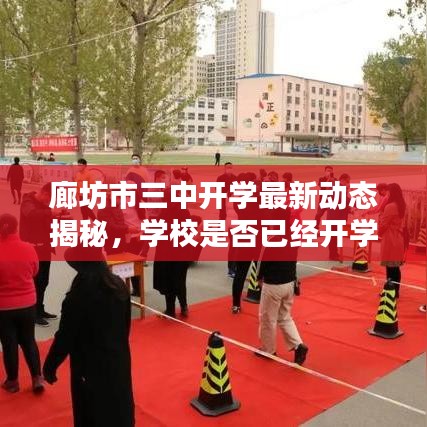 廊坊市三中开学最新动态揭秘，学校是否已经开学？独家消息抢先看！