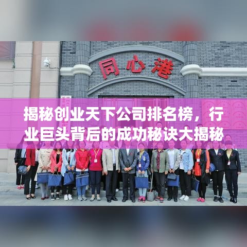 揭秘创业天下公司排名榜，行业巨头背后的成功秘诀大揭秘