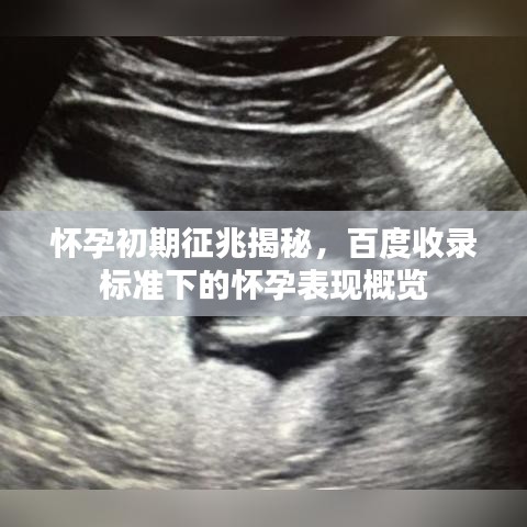 怀孕初期征兆揭秘，百度收录标准下的怀孕表现概览