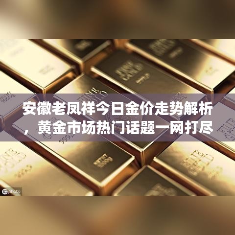 安徽老凤祥今日金价走势解析，黄金市场热门话题一网打尽