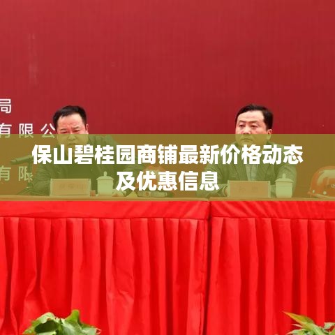保山碧桂园商铺最新价格动态及优惠信息