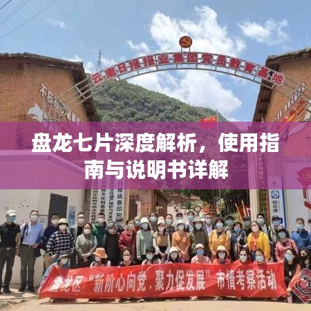 盘龙七片深度解析，使用指南与说明书详解