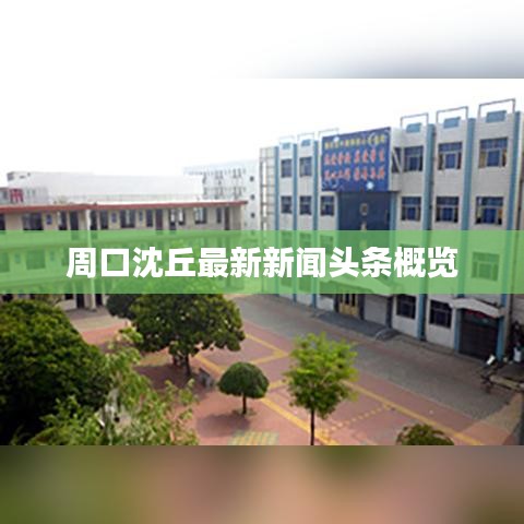 周口沈丘最新新闻头条概览