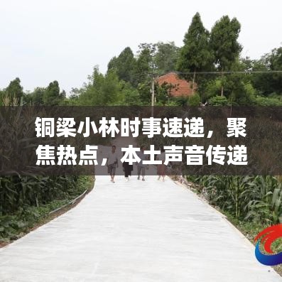 铜梁小林时事速递，聚焦热点，本土声音传递最新资讯