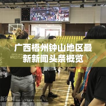 广西梧州钟山地区最新新闻头条概览