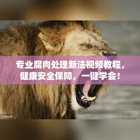 专业腐肉处理新法视频教程，健康安全保障，一键学会！
