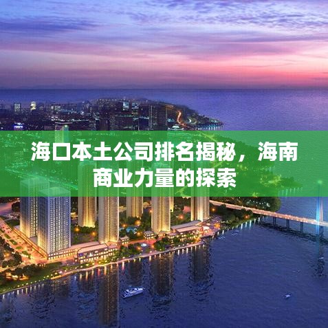 海口本土公司排名揭秘，海南商业力量的探索