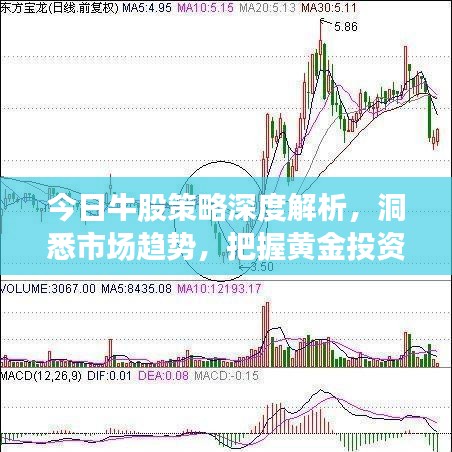 今日牛股策略深度解析，洞悉市场趋势，把握黄金投资机会